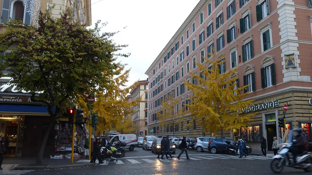 Via Terenzio nel quartiere Prati a Roma, con edifici, alberi e passaggio pedonale all'incrocio