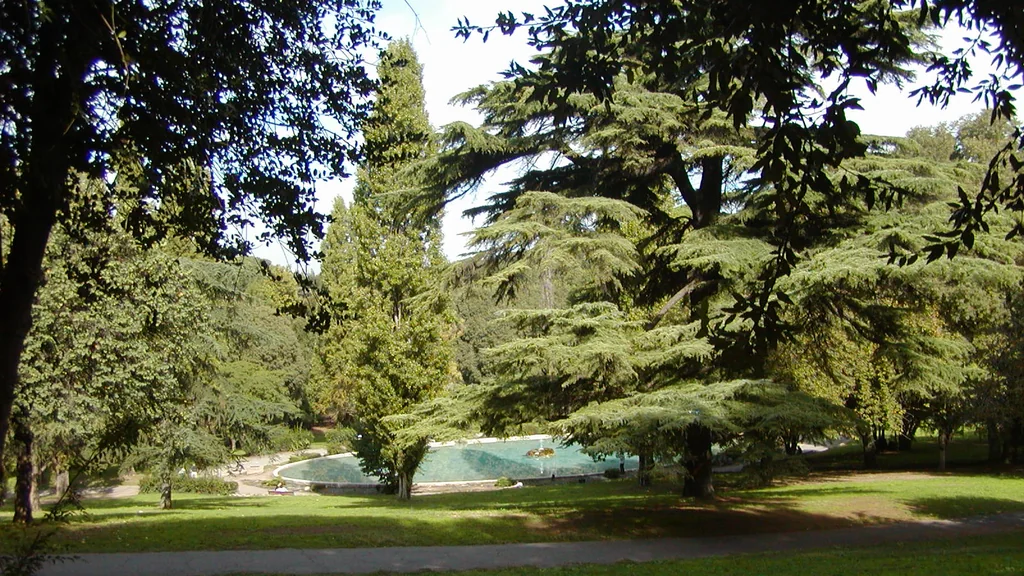 Viali alberati di Villa Borghese a Roma