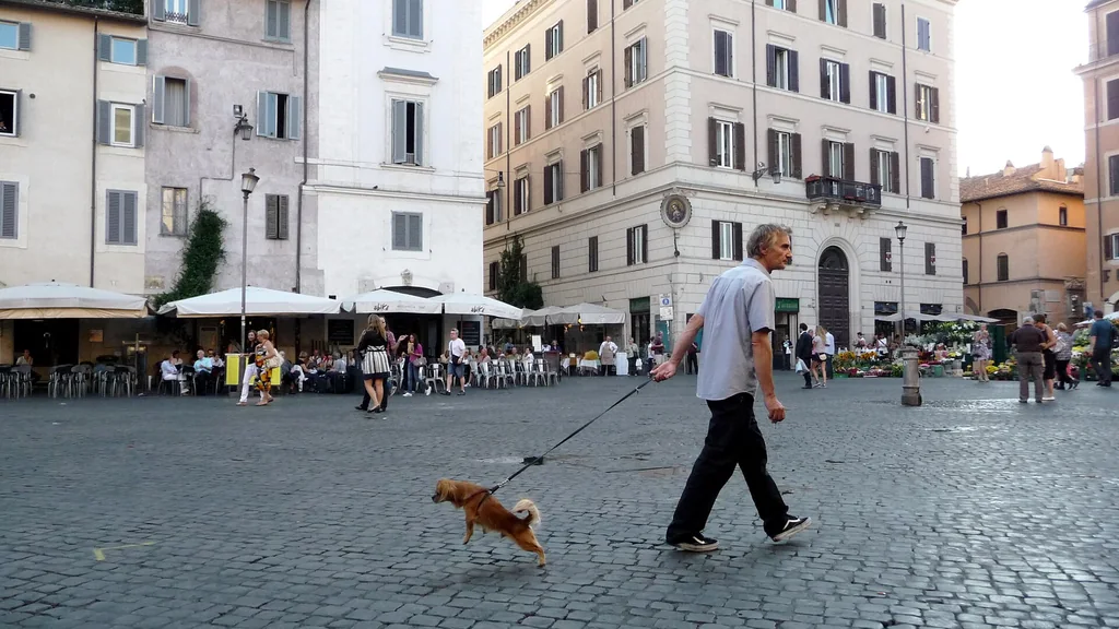 Banchi del mercato di Campo de’ Fiori al mattino