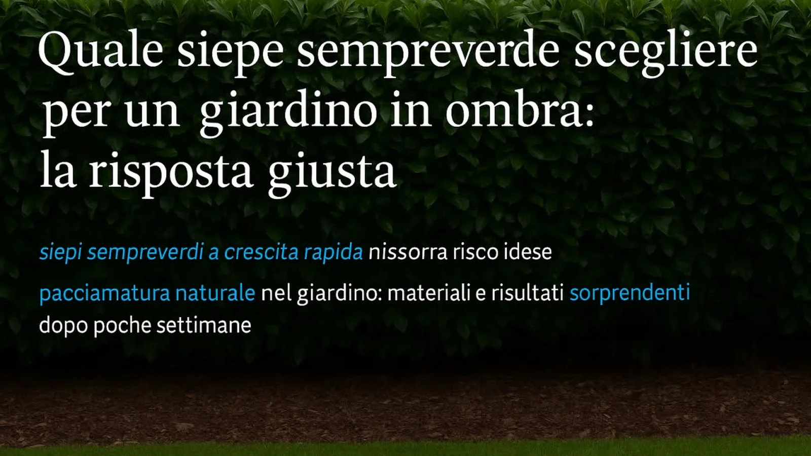 Roma tra una biblioteca e un giardino: come progettare un itinerario breve mantenendo vicine le tappe e lasciando tempo a una pausa