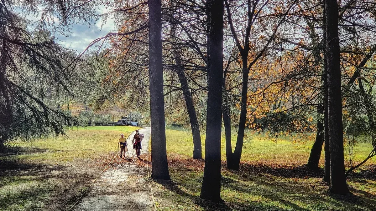 Trionfale a piedi: come esplorare il quartiere senza correre